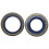 Set di 10 paraoli per 362 365 e Special 371XP 371 K 372 XP 3