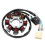 Motorcycle Generator Stator Coil for Accessories 1