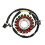 32101-17G00 Statorspole för DL650 DL SV 650 V-Strom 1