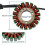 Statorspole 4GY-81410-01-00 til TTR250 TT-R250 3