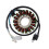 Statorspole 4GY-81410-01-00 til TTR250 TT-R250 2