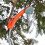 Bärbar campingdusch Utomhus campingduschpump Orange & Grå 2