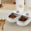 Automatic Pet Feeder for Small Pets, 350ml Programmable Timer, Gray Automatic Wet Food Dispenser 2