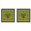 Magnetic Field Viewing Film,Magnetic Field Detector 1