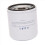 Engine Fuel Filter 3862228 for 3.0L-8.2L SX 3