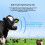 10 τεμάχια RFID UHFAnimal Ear Tag ISO18000 6C Ηλεκτρονική Ear Tag για το αυτί χοίρου 2