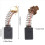 N398321 Carbon Motor Brushes Polisher DWP849/DWP849X - 2 Pack 2