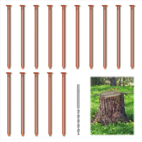 15Pcs Copper Nails for Killing Trees Stump Root, 3.14 Inch 1