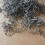 1000Pcs 0.6mm S Wave Staples for Car Bumper Bodywork Plastic Stapler 2