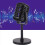 Vintage Microphone Prop,Plastic Fake Microphone,for Role Play 3
