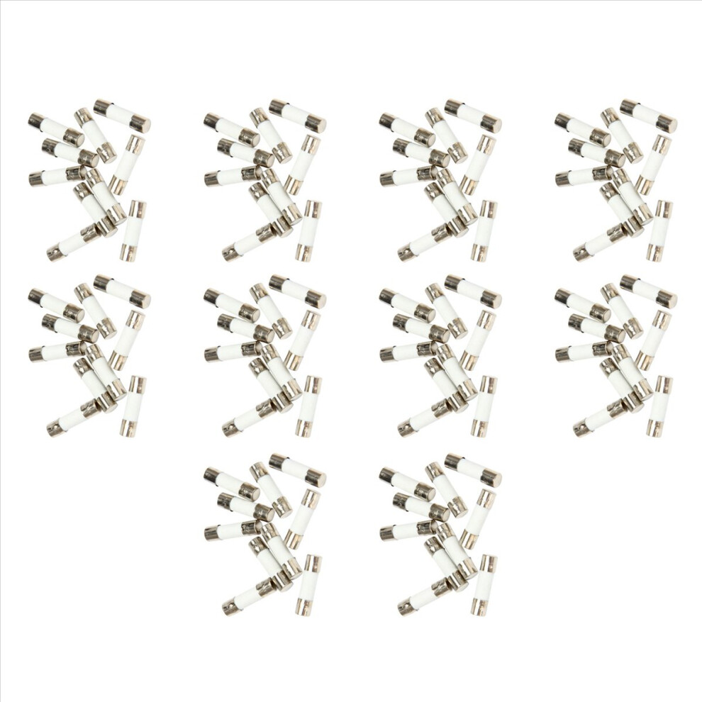 10Pcs 250V 0.5A 500Ma Fast Blow Ceramic Fuses Tubes 5Mm X 20Mm 4853188001231