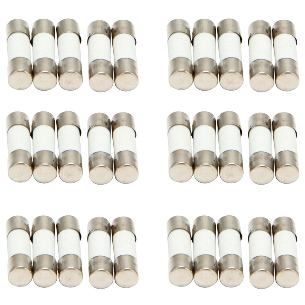 10Pcs 250V 0.5A 500Ma Fast Blow Ceramic Fuses Tubes 5Mm X 20Mm 4853158890704
