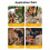 Protection Chainsaw Pants for Cutting/Logging Tasks Versatile Use, L 6
