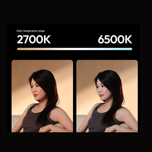 PL25 25W LED Panel Light 2700K-6500K 96+Type-C 1