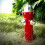Puppy Pee Training Statue, Outdoor Fire Hydrant Statue 4