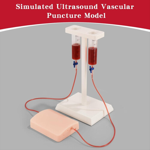 Ultrasound-Guided Vascular Puncture Training Model 1