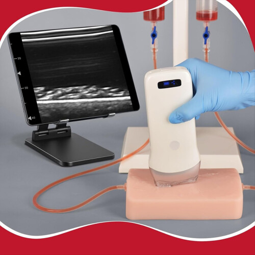 Ultrasound-Guided Vascular Puncture Training Model 2