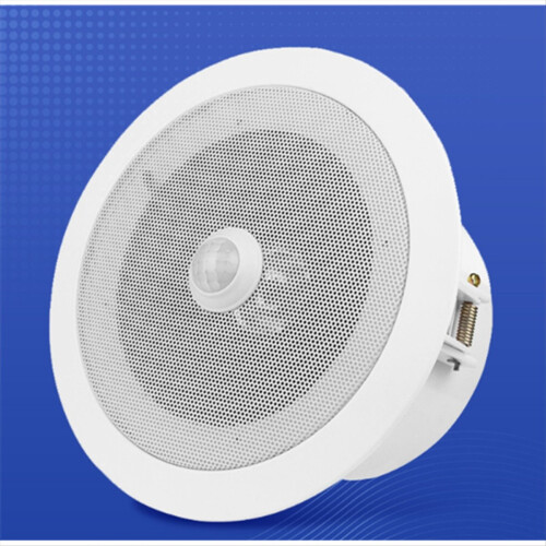 Overhead Motion Activated Audio Player PIR Triggered Ceiling Speaker 2