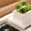 Desktop Aquarium Fish Tank with LED Lighting Silent Filter 6
