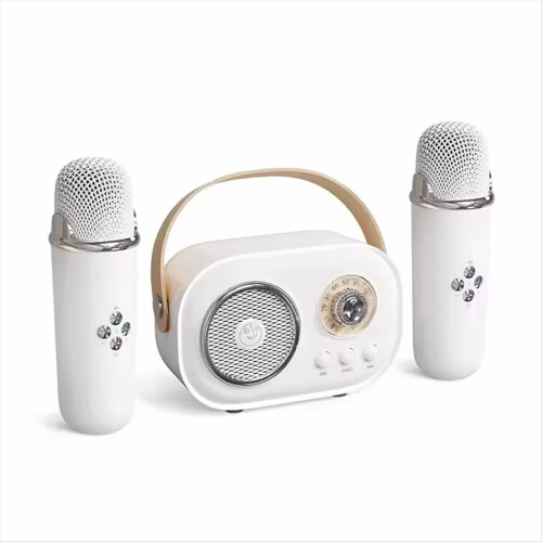 Karaoke draagbare draadloze Bluetooth-luidspreker met microfoon, wit