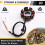 77039104000 Motorrad-Generator-Statorspule für EXC 250 5