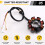 77039104000 Motorrad-Generator-Statorspule für EXC 250 7