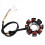 77039104000 Motorrad-Generator-Statorspule für EXC 250 1