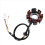 77039104000 Motorrad-Generator-Statorspule für EXC 250 3