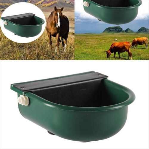 Tigela de água automática para cabras 1