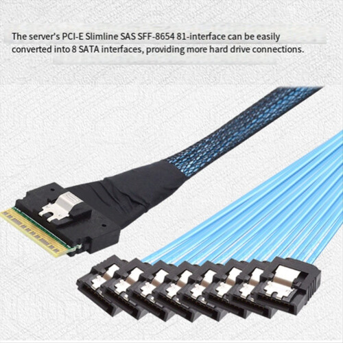 Καλώδιο εξόδου σκληρού δίσκου Target SFF-8654 8i σε 8X 74 ακίδων 2