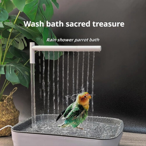 Bañera automática para pájaros y loros con circulación de agua 1