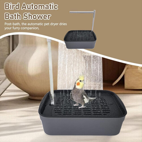Bañera automática para pájaros y loros con circulación de agua 2