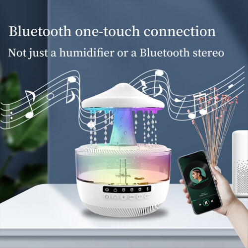 Rain Cloud Humidifier 2