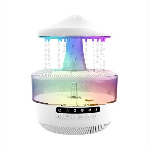 Rain Cloud Humidifier