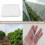 10Mx2M Bug Fly Fruit Cage Mesh Net Netting Vegetable Plant Protection 5