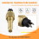 Öltemperatursensor 01179305 01182377 für Deutz 1011 2011 Motor 5