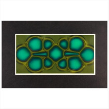 Pellicola di visualizzazione magnetica, visualizzatore di campo magnetico da 2 pollici x 4 pollici