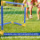 Mini porta da calcio pieghevole con rete e pompa in plastica regalo 6