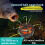 Reverse Bottom Bait Cage Fishing Hook 360 Rotating Carp Feeder Rig 6