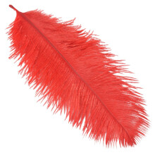 10 Stück Straußenfedern für Hochzeit, Party, Dekoration, Rot, 20–25 cm