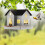 Outdoor Solar Light Bird Feeder Extended Bird Pole House Shape 5