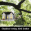 Outdoor Solar Light Bird Feeder Extended Bird Pole House Shape 4