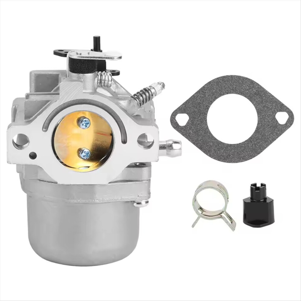 Carburetor For 799728 498027 4853776031411