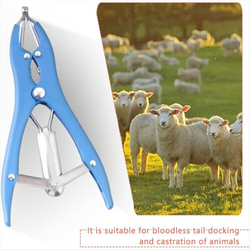 Lot de 2 bagues de castration pour bétail, outil de coupe de queue d'animal 1