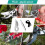 Hand Pruner Replacement Kit (2/3-1) for Felco Pruners Models: F2 6