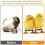 150Pcs Baby Chick Leg Bands,Chicken Hobble Braces 6