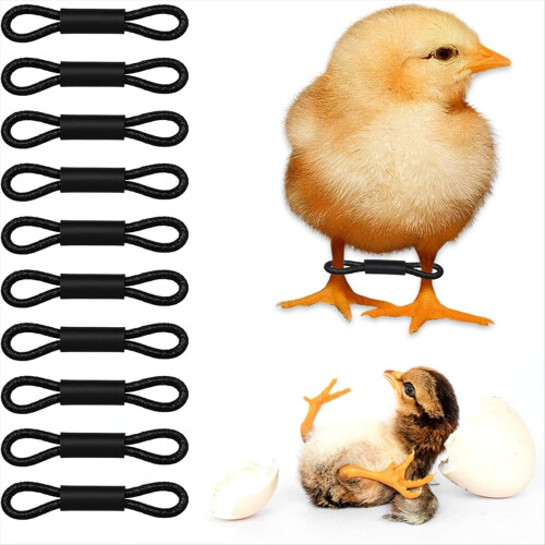 150Pcs Baby Chick Leg Bands,Chicken Hobble Braces 2
