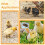 150Pcs Baby Chick Leg Bands,Chicken Hobble Braces 4