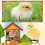 150Pcs Baby Chick Leg Bands,Chicken Hobble Braces 5