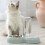 Automatic Pet Feeder and Water Bowl 2-in-1 Combo Smart Food Container 5